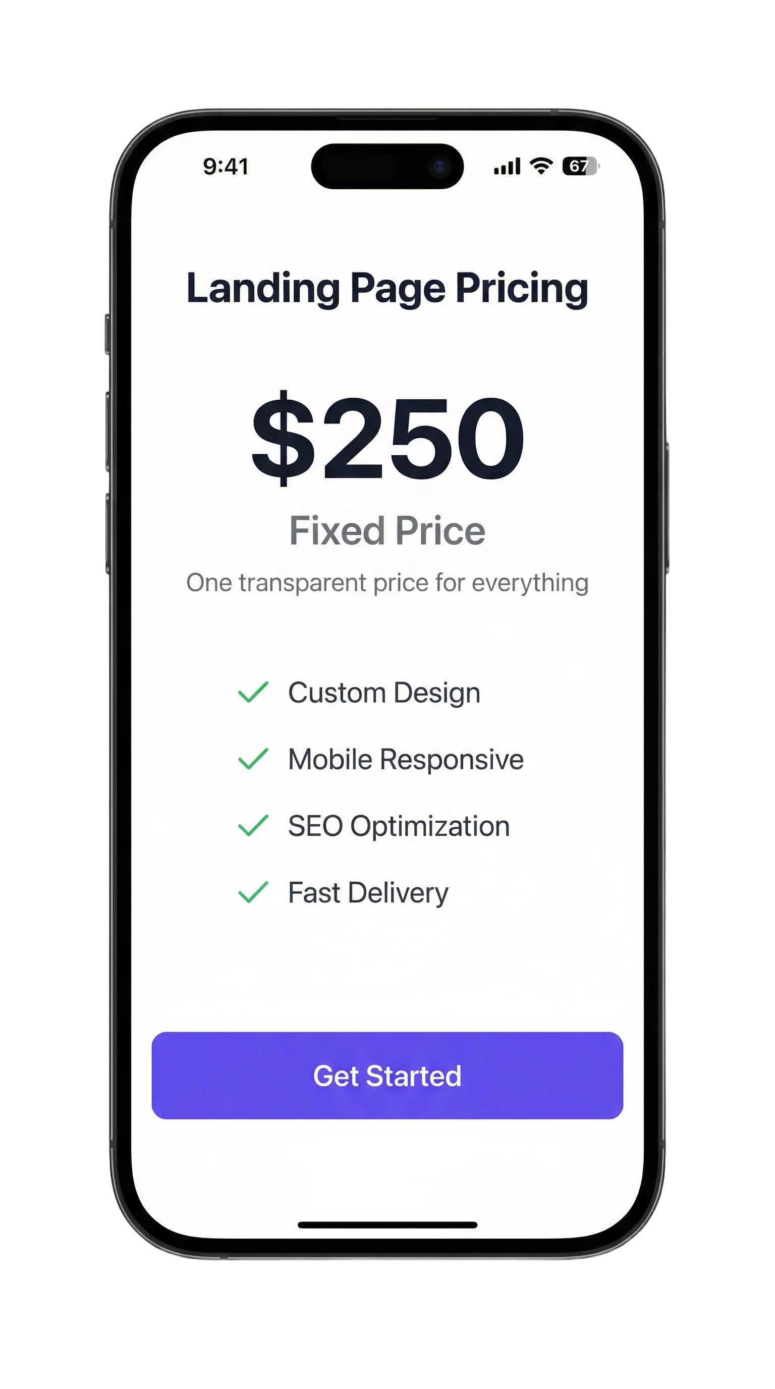 Landing page pricing screen showing fixed price